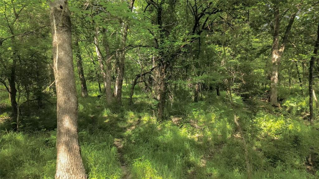 Lot 5 Cr 1610 Property Photo 7