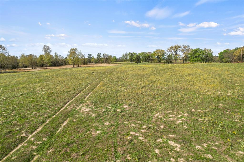 Tbd Cr 4663 Property Photo 7
