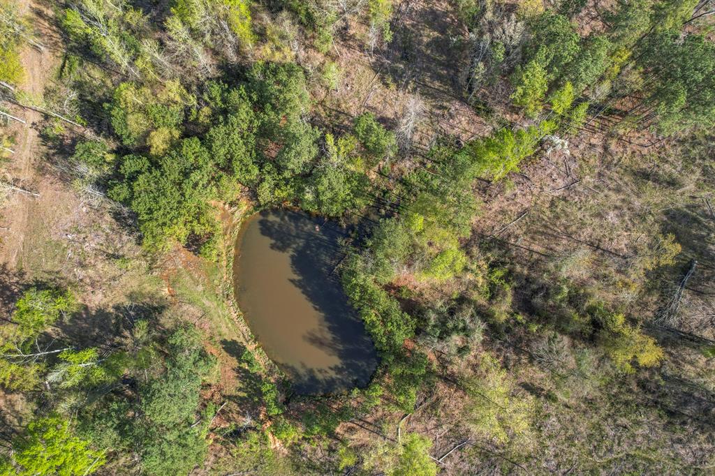Tbd Cr 4663 Property Photo 13