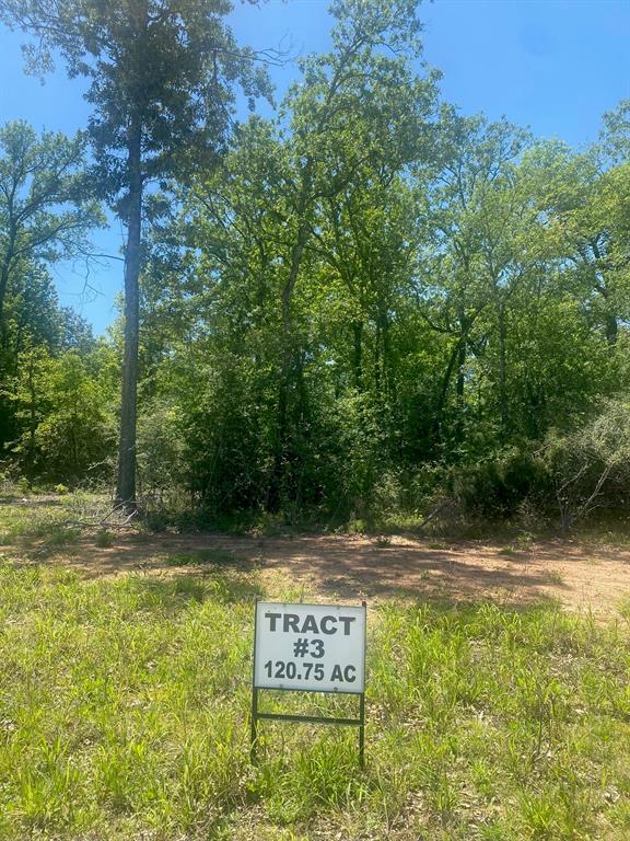 Tbd 3 Fm 1848 Property Photo