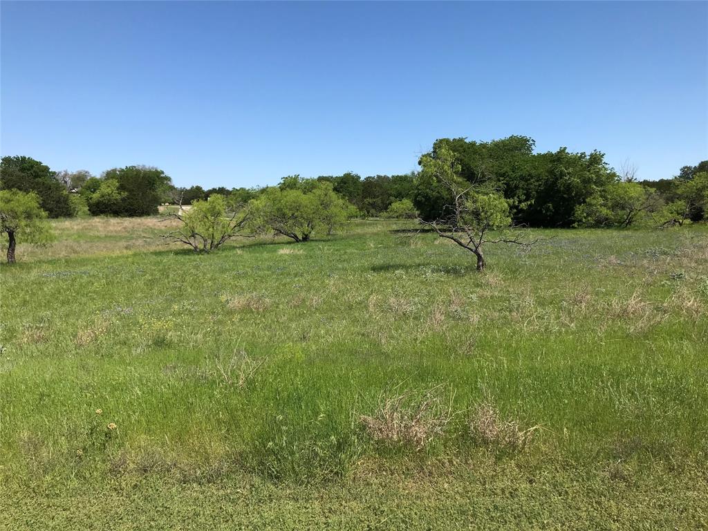 19115 White Bluff Drive Property Photo 1