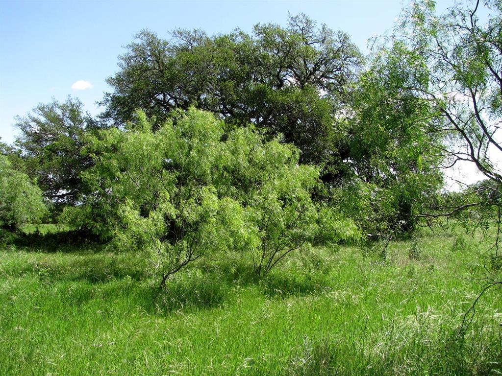 6630 Fm 183 Property Photo 19