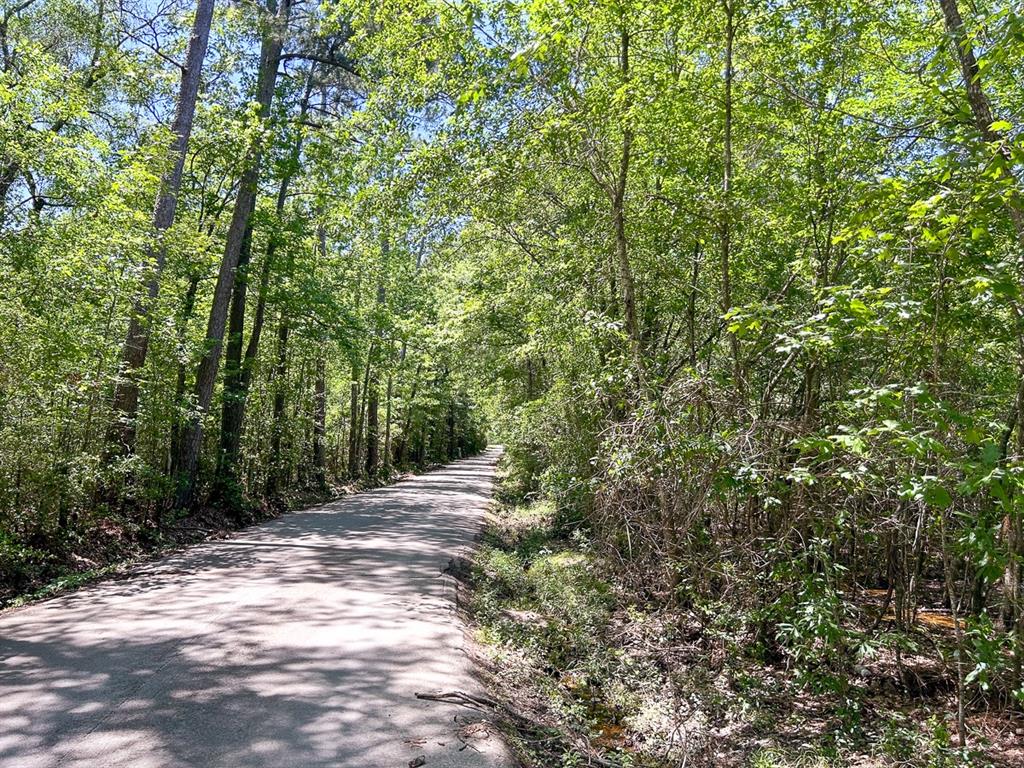 0 Lane Drive Property Photo 3