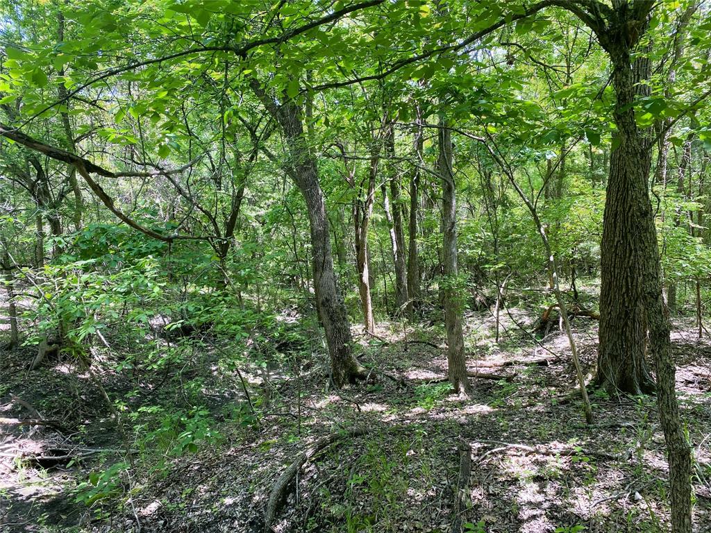 Tbd E Us Highway 82 Property Photo 12