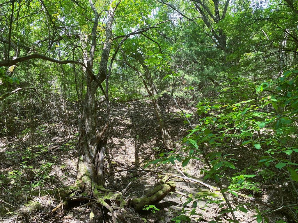 Tbd E Us Highway 82 Property Photo 13