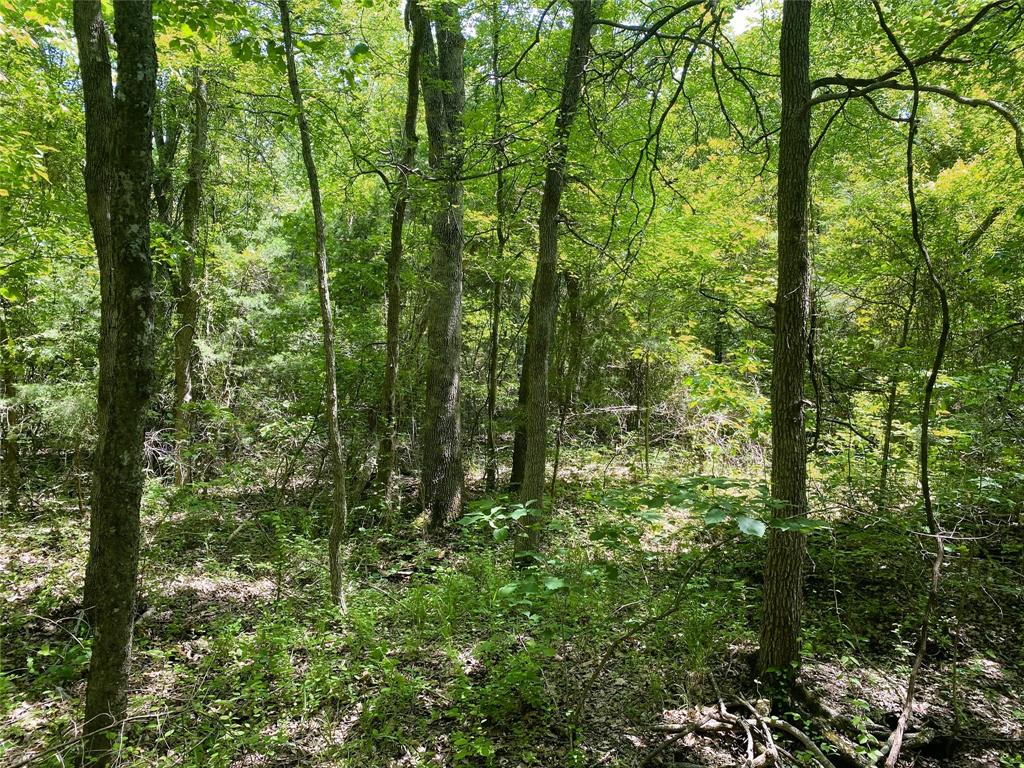 Tbd E Us Highway 82 Property Photo 14