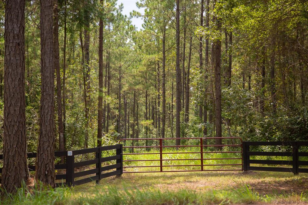 0000000 Fm 352 Property Photo 6