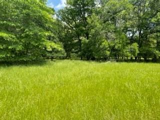 Tbd 7 Fm 1848 Property Photo