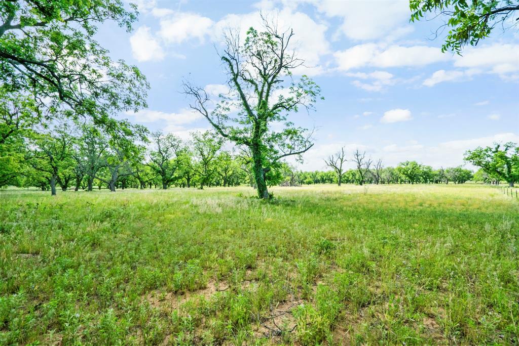 179 County Road 348 Property Photo 1