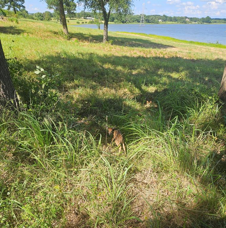 343 Private Road 7327 Property Photo 38