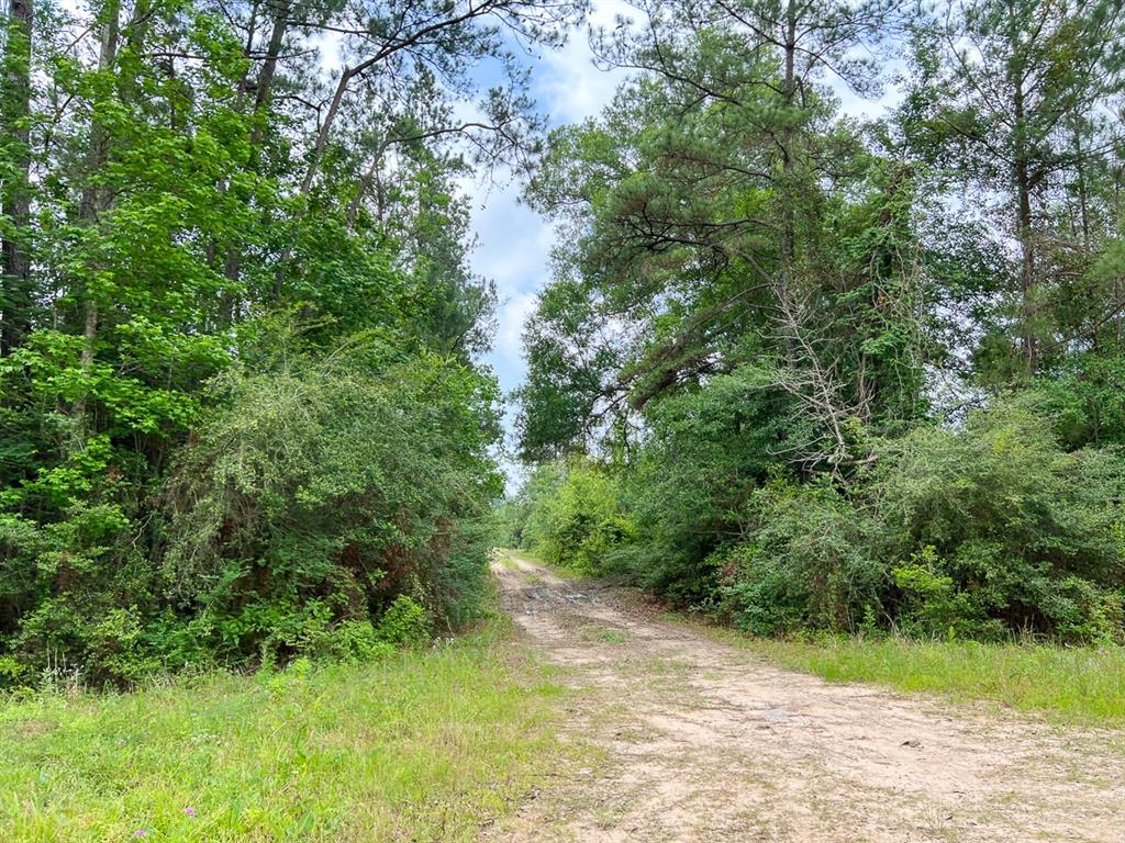 010 Old Arco Rd Property Photo 1