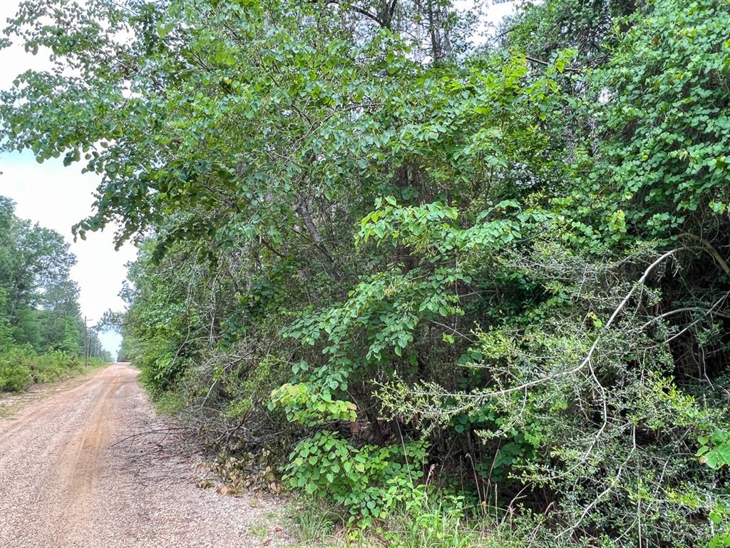 013 Old Arco Rd Property Photo 4