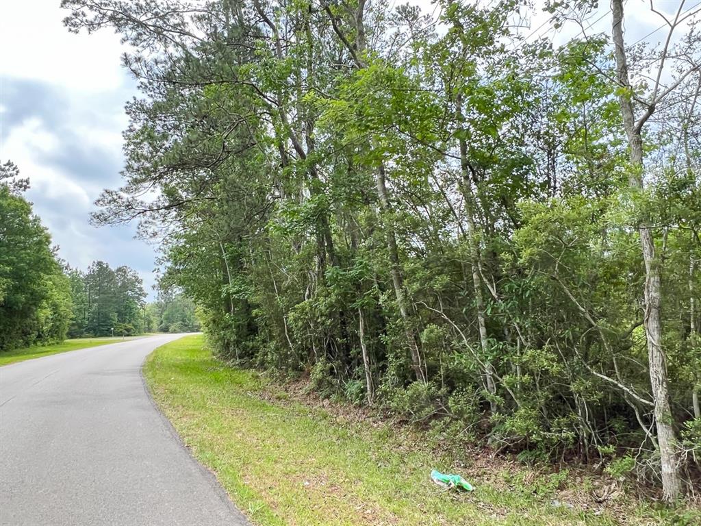 000 Fm 2937/old Arco Road Property Photo 3