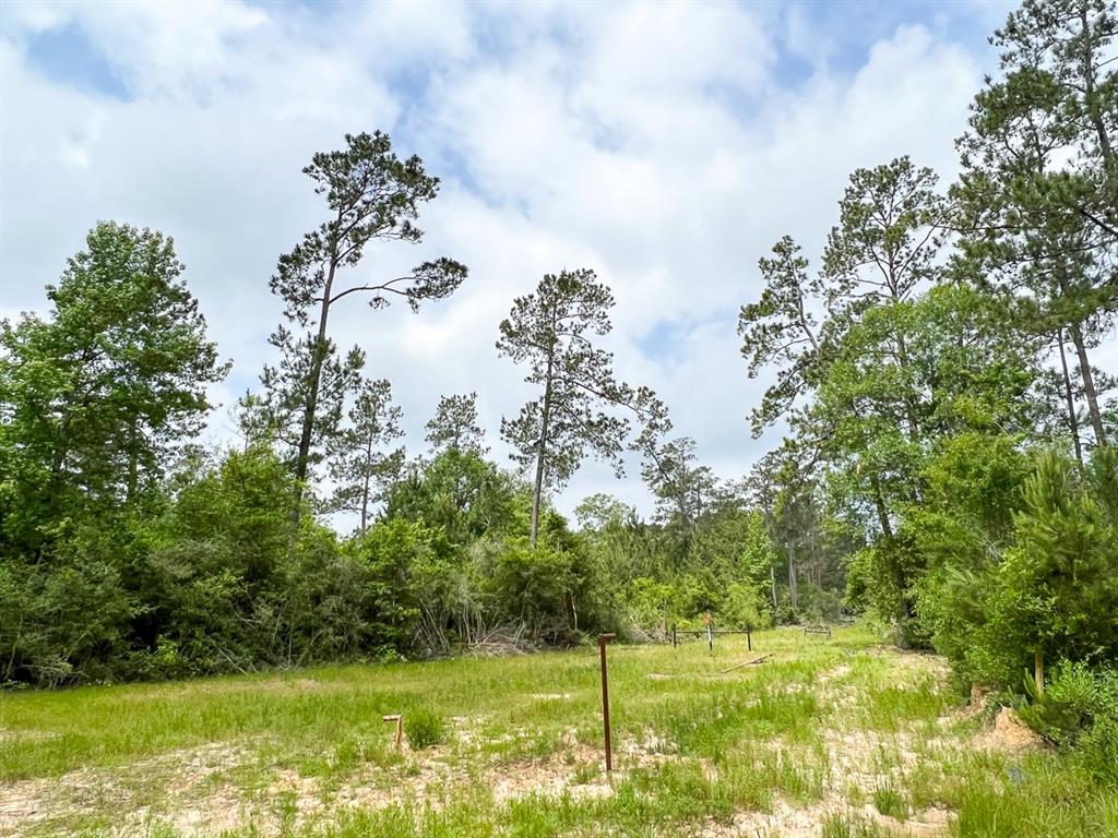 000 Fm 2937/old Arco Road Property Photo 6