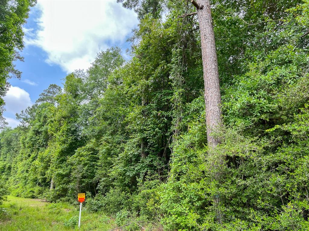 0000 Fm 2937/old Arco Road Property Photo 1