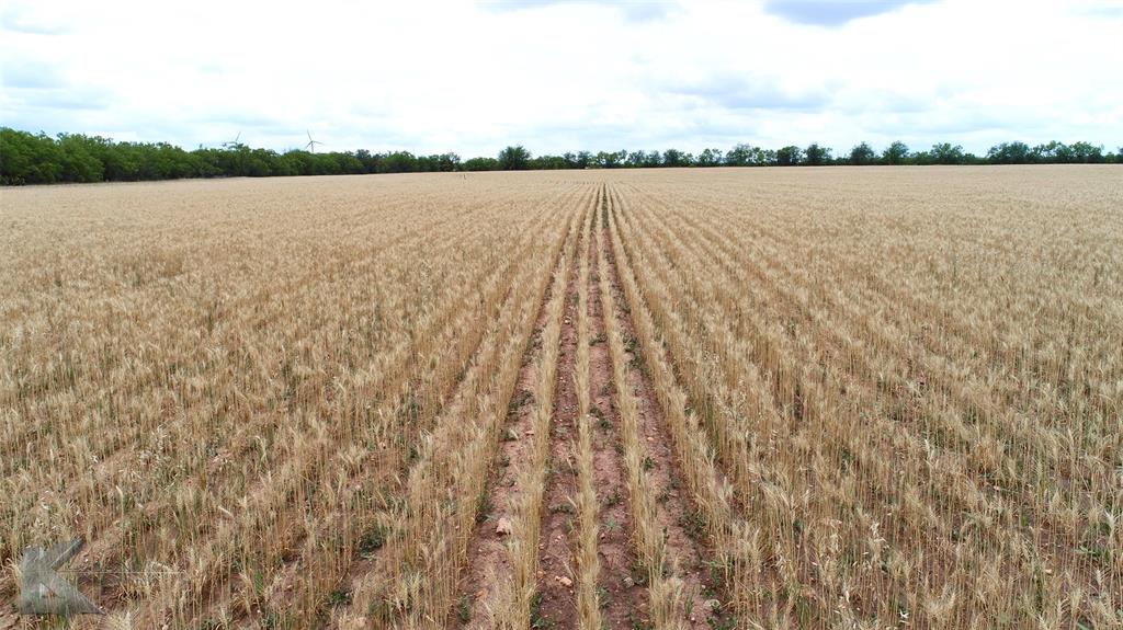 Tbd Hwy 351 Property Photo 15