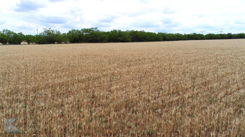 Tbd Hwy 351 Property Photo 16