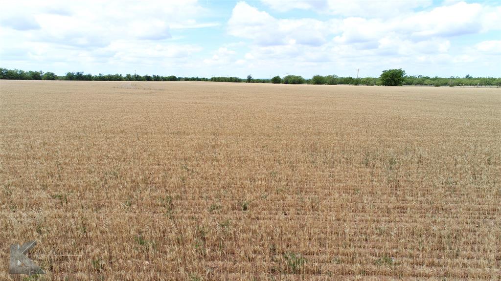 Tbd Hwy 351 Property Photo 17