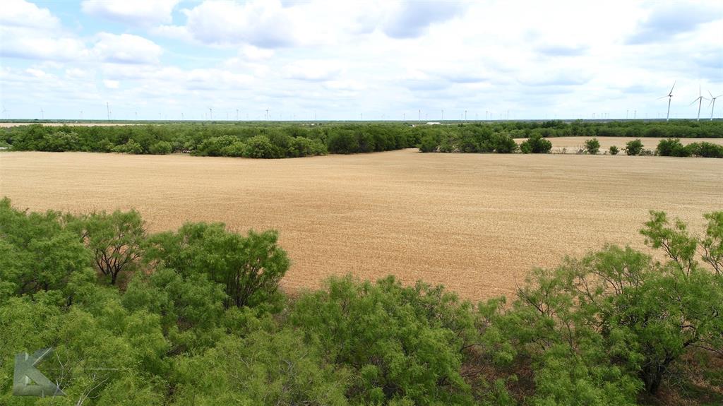 Tbd Hwy 351 Property Photo 18