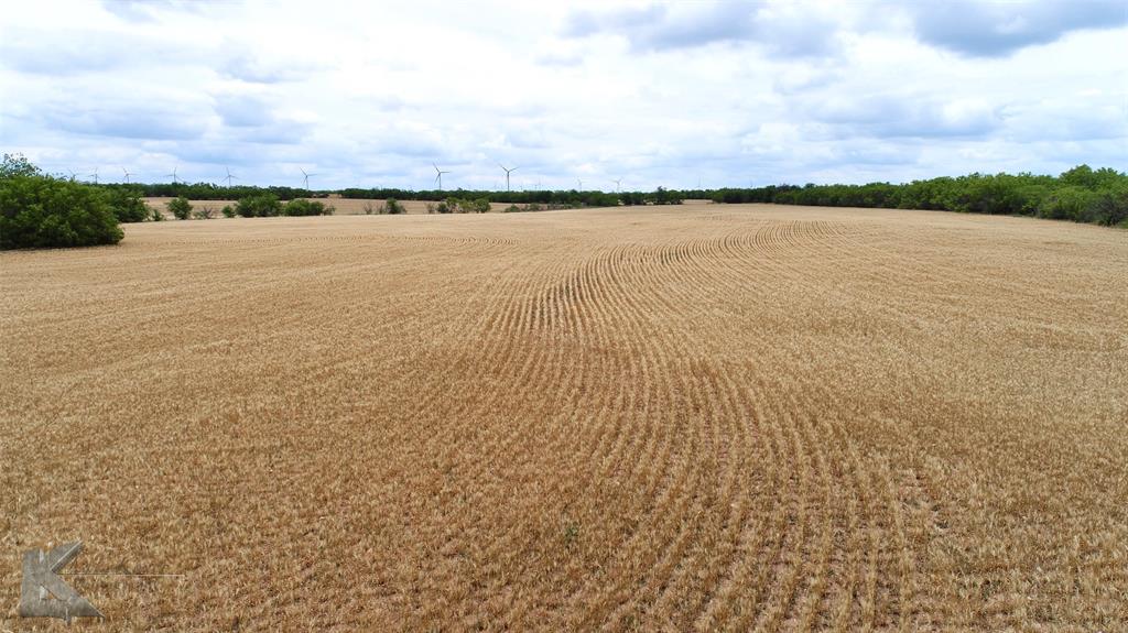 Tbd Hwy 351 Property Photo 19