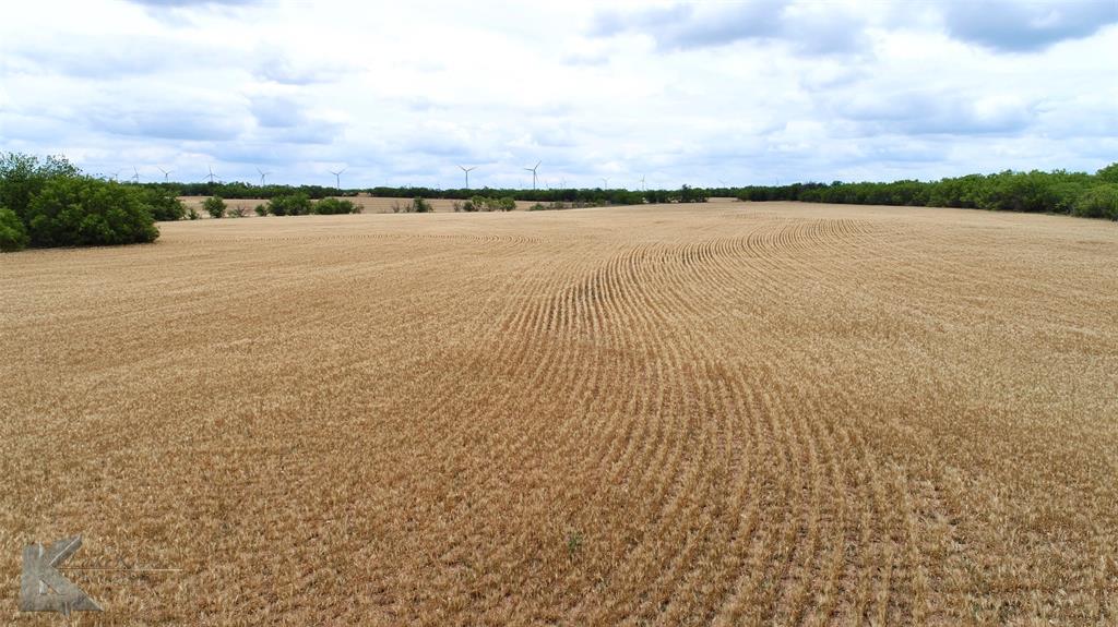 Tbd Hwy 351 Property Photo 20