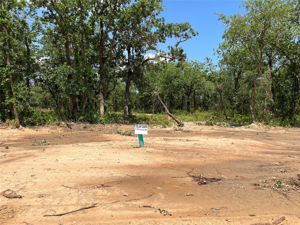 428 Peace Lily Way Property Photo 1