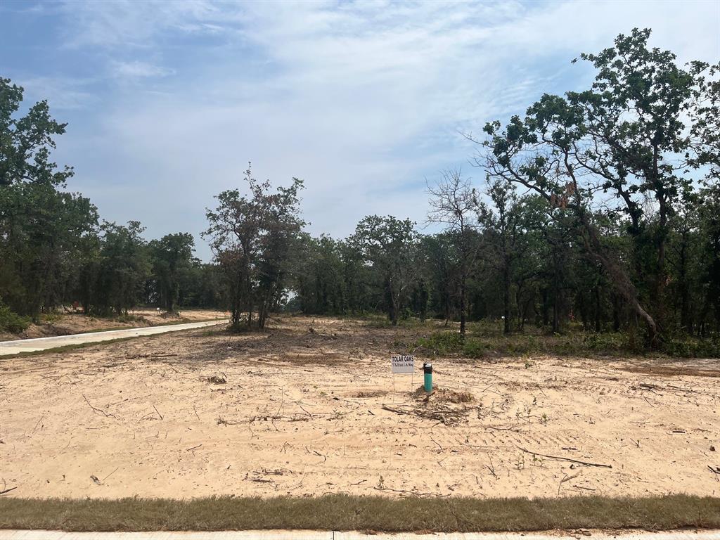 436 Peace Lily Way Property Photo 1