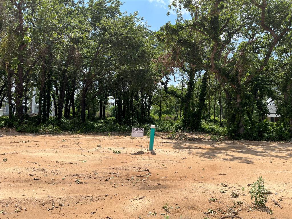 409 Peace Lily Way Property Photo 1