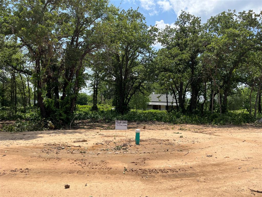 413 Peace Lily Way Property Photo 1