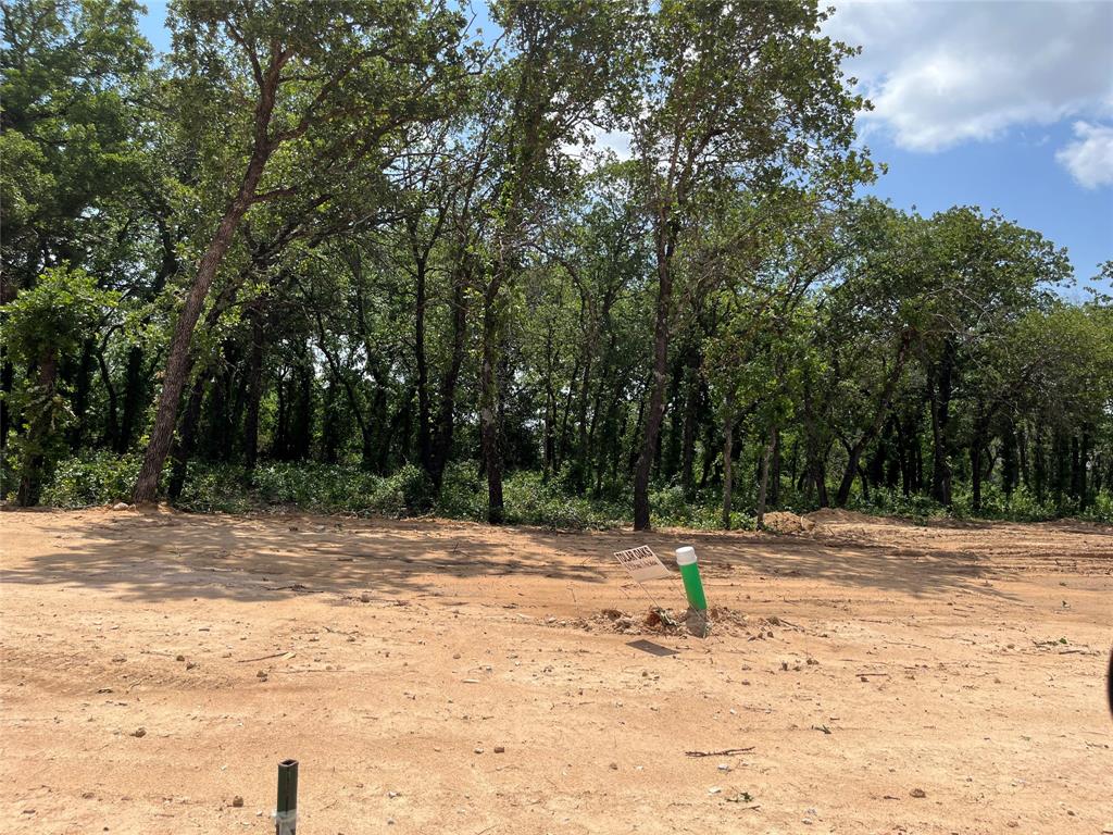 429 Peace Lily Way Property Photo 1