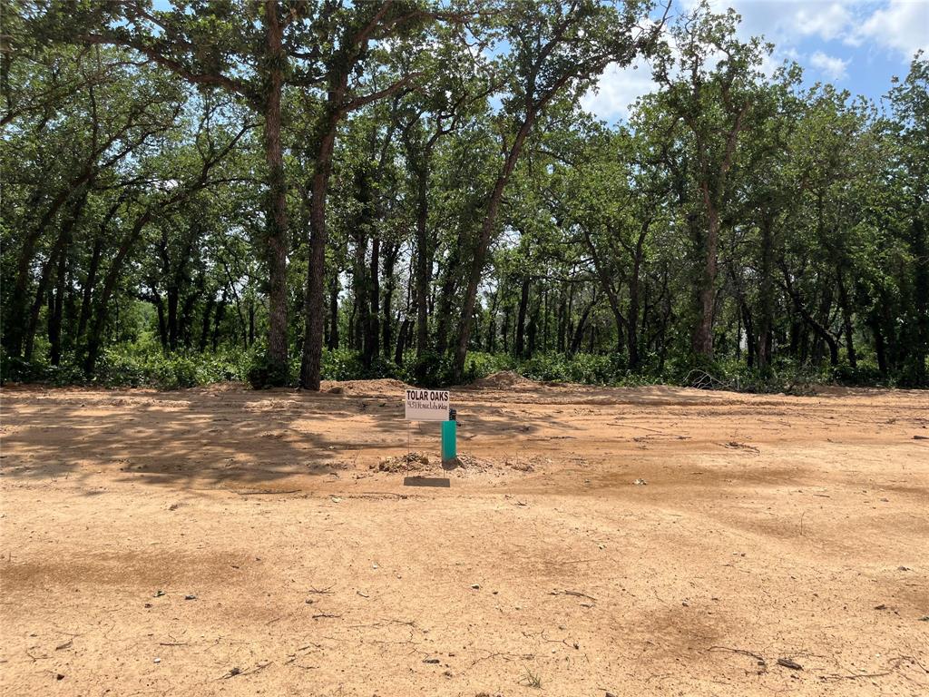 437 Peace Lily Way Property Photo 1