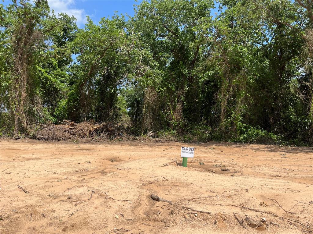 490 Peace Lily Way Property Photo 1