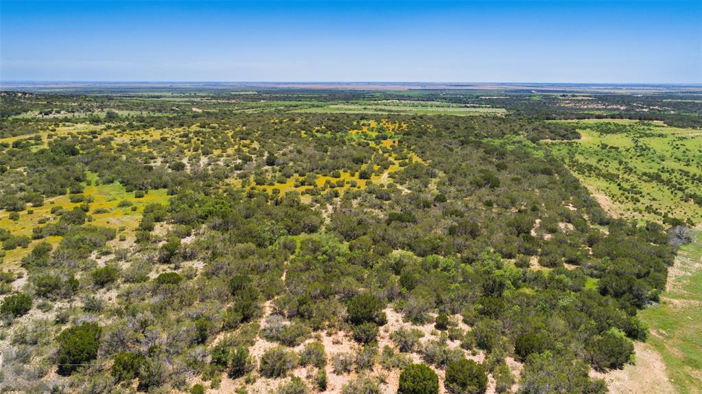 4897 Fm 1086 Property Photo 12
