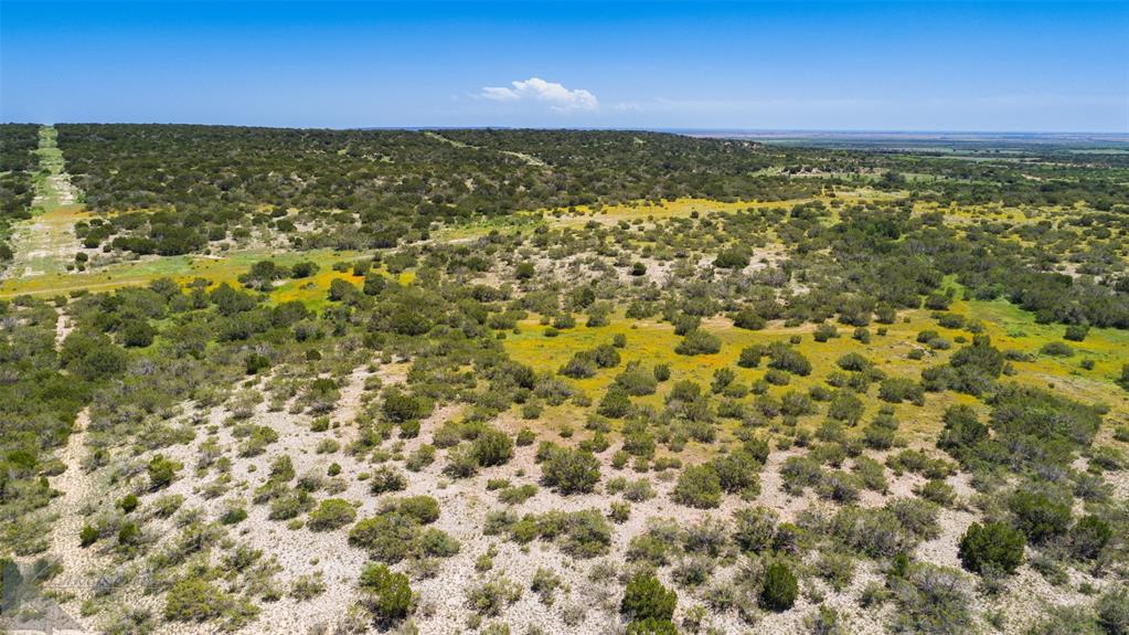 4897 Fm 1086 Property Photo 13