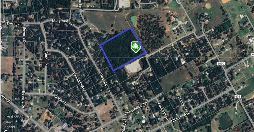 TBD County Road 603C Property Photo 1