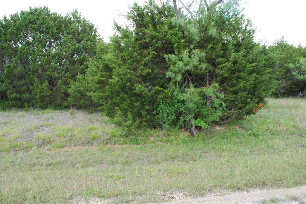 23067 Oak Ridge Drive Property Photo 4