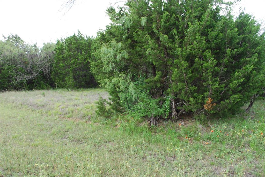 23067 Oak Ridge Drive Property Photo 5