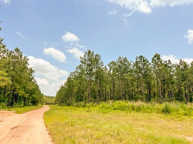 0000 County Road 1325 Property Photo 1