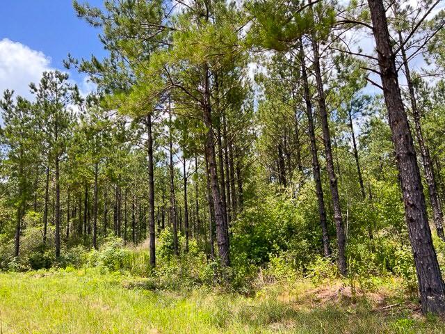 0000 County Road 1325 Property Photo 9