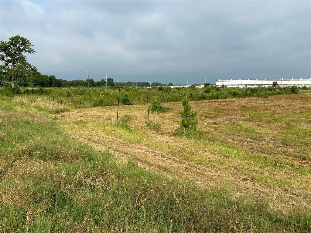 155 Us Hwy 79 Property Photo 21