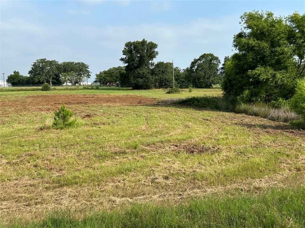 155 Us Hwy 79 Property Photo 22