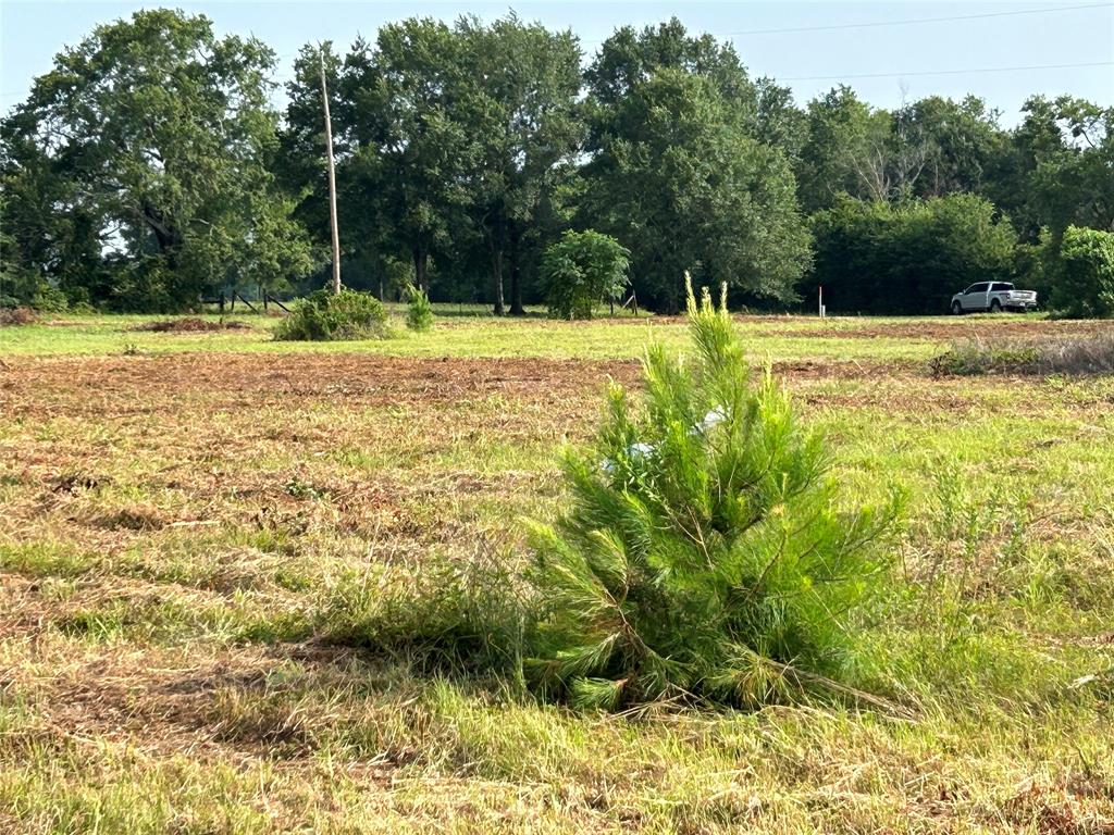 155 Us Hwy 79 Property Photo 23
