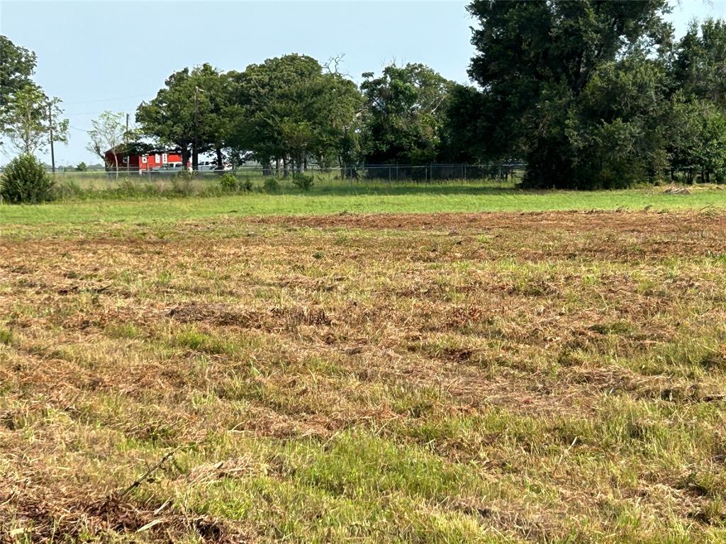 155 Us Hwy 79 Property Photo 24