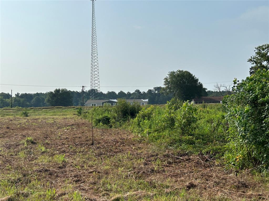 155 Us Hwy 79 Property Photo 28