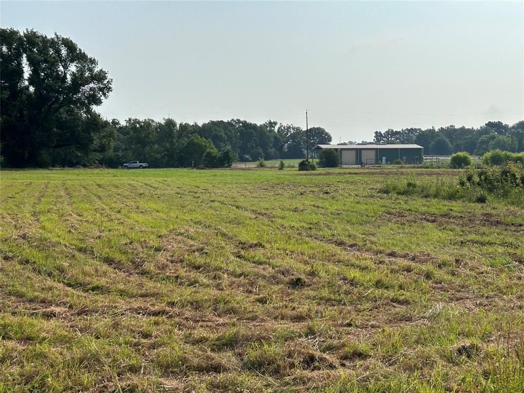 155 Us Hwy 79 Property Photo 29