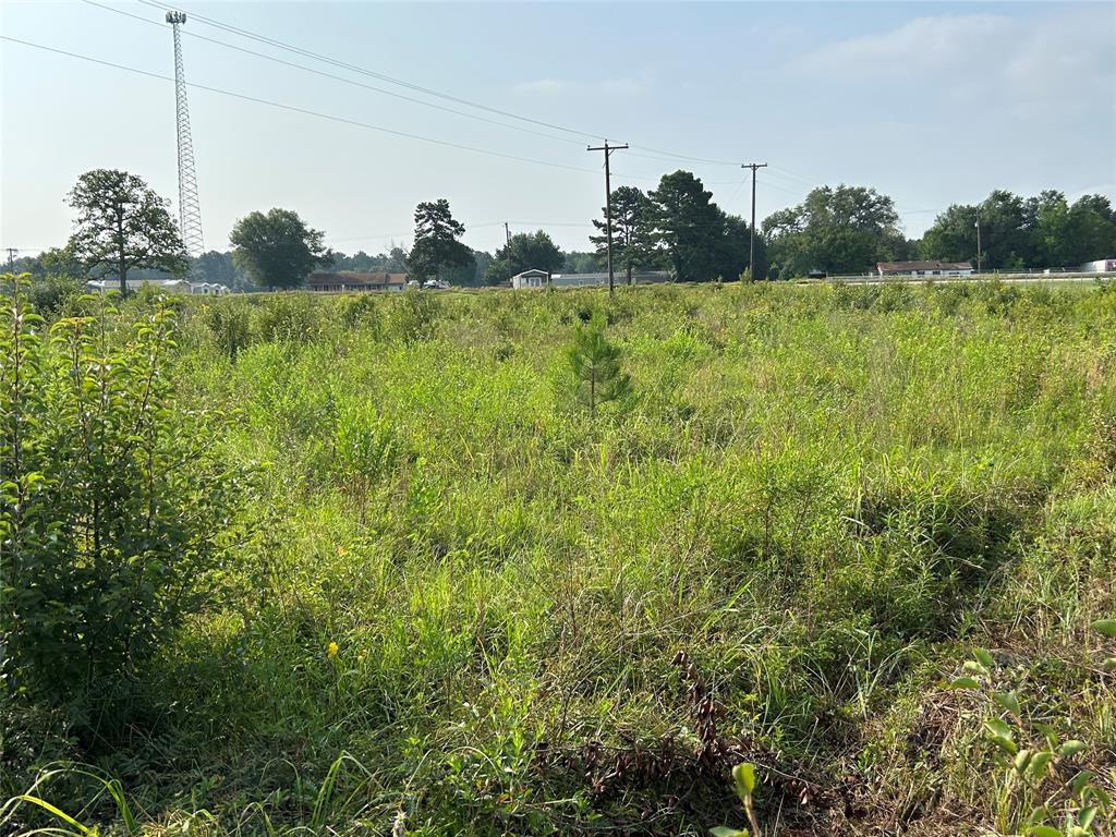 155 Us Hwy 79 Property Photo 30
