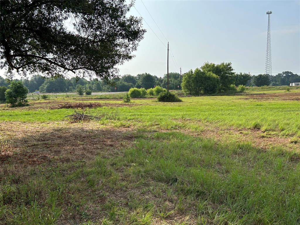 155 Us Hwy 79 Property Photo 34
