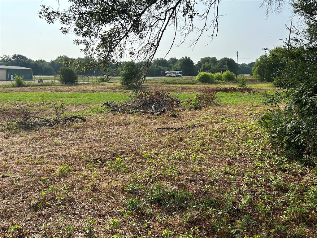 155 Us Hwy 79 Property Photo 38