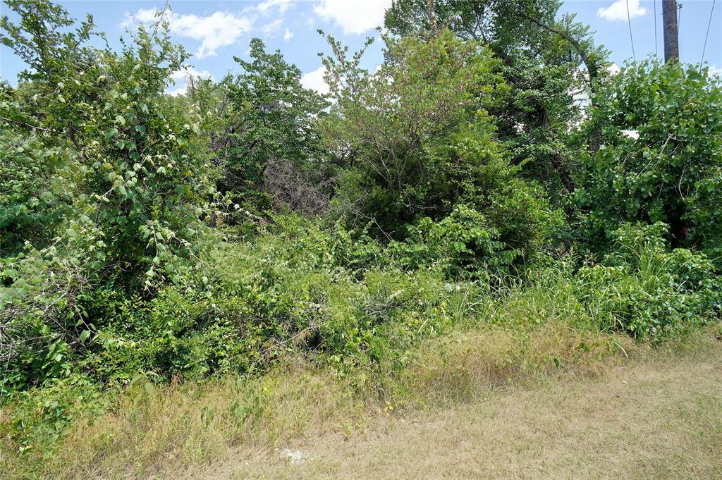 2201 Shady Oaks Drive Property Photo 9