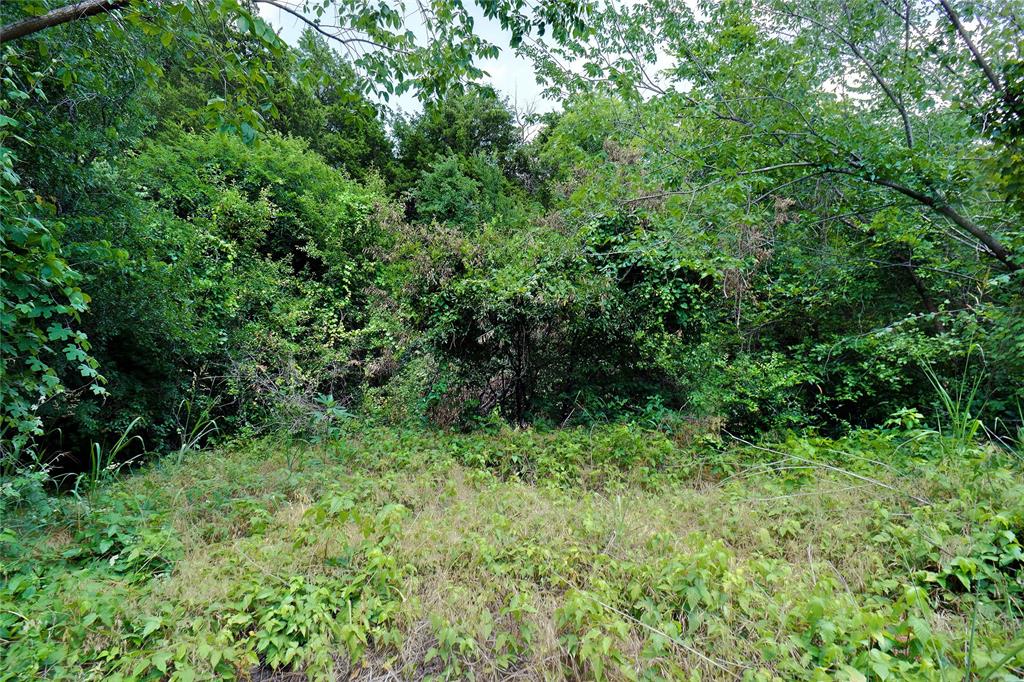2201 Shady Oaks Drive Property Photo 11